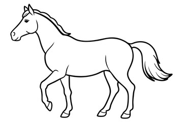 horse line art silhouette vector illustration