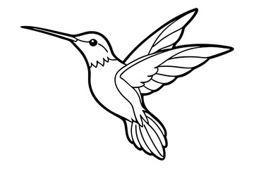 hummingbird line art silhouette vector illustration