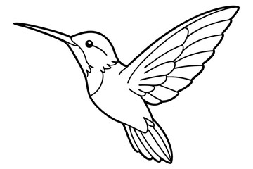 hummingbird line art silhouette vector illustration