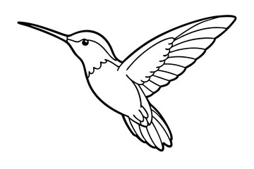 hummingbird line art silhouette vector illustration
