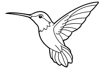 hummingbird line art silhouette vector illustration