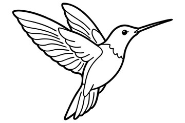 hummingbird line art silhouette vector illustration