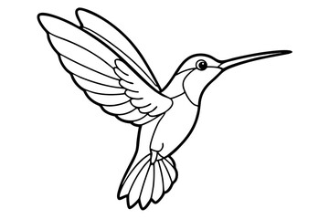 hummingbird line art silhouette vector illustration