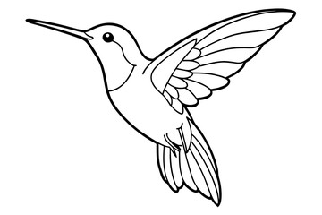 hummingbird line art silhouette vector illustration