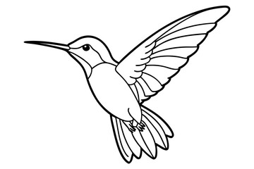 hummingbird line art silhouette vector illustration