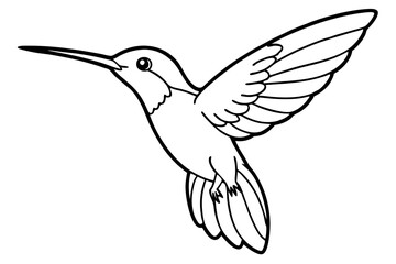 hummingbird line art silhouette vector illustration