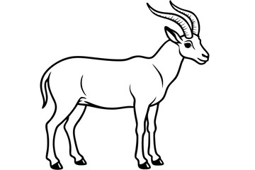 ibex line art silhouette vector illustration