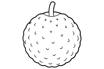 lychee line art silhouette vector illustration