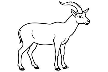 ibex line art silhouette vector illustration