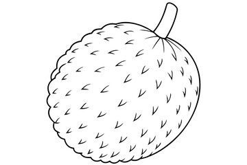 lychee line art silhouette vector illustration