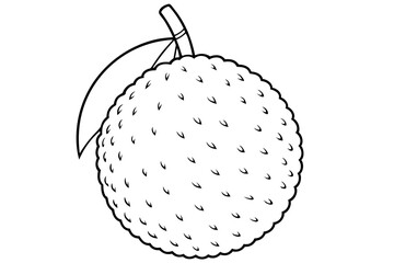 lychee line art silhouette vector illustration