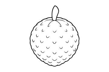 lychee line art silhouette vector illustration
