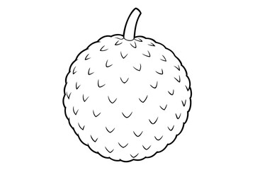 lychee line art silhouette vector illustration