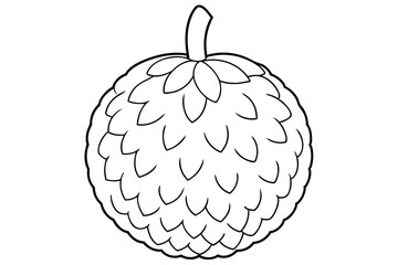 lychee line art silhouette vector illustration