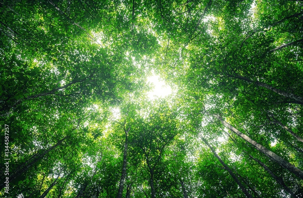 Aufkleber sunlight filters through a lush, green forest canopy, creating an enchanting and peaceful atmosphere