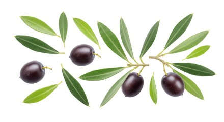 Olive Branch and Fruit Composition - A vibrant showcasing ripe olives and lush olive leaves, symbolizing peace, abundance, health, nature, and Mediterranean culture