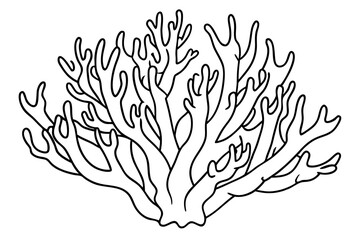 coral line art silhouette vector illustration