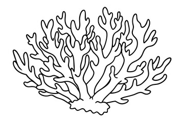 coral line art silhouette vector illustration