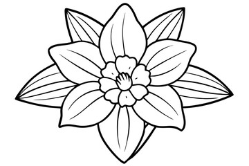 daffodil line art silhouette vector illustration