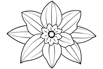 daffodil line art silhouette vector illustration