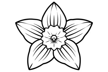 daffodil line art silhouette vector illustration