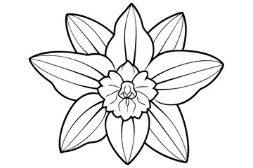 daffodil line art silhouette vector illustration