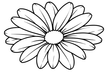 daisy line art silhouette vector illustration
