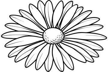daisy line art silhouette vector illustration