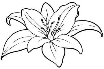 lily line art silhouette vector illustration