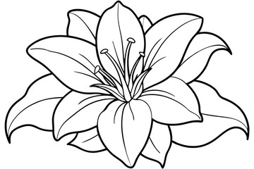 lily line art silhouette vector illustration
