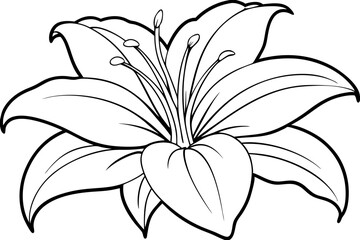 lily line art silhouette vector illustration