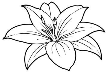 lily line art silhouette vector illustration