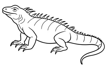 marine iguana line art silhouette vector illustration