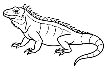 marine iguana line art silhouette vector illustration