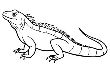 marine iguana line art silhouette vector illustration