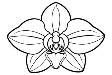 orchid line art silhouette vector illustration