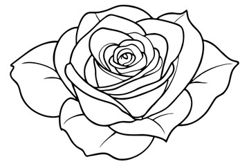 rose line art silhouette vector illustration