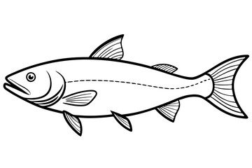 salmon line art silhouette vector illustration
