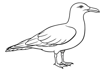 seagull line art silhouette vector illustration