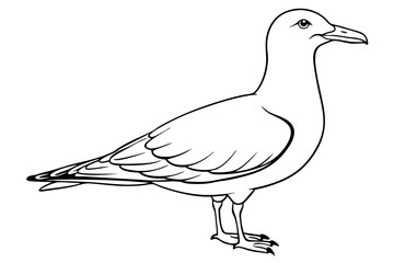 seagull line art silhouette vector illustration