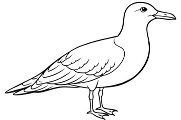 seagull line art silhouette vector illustration