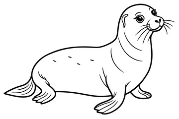 seal line art silhouette vector illustration