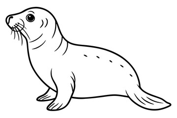 seal line art silhouette vector illustration