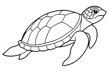 sea turtle line art silhouette vector illustration