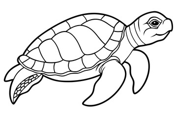 sea turtle line art silhouette vector illustration