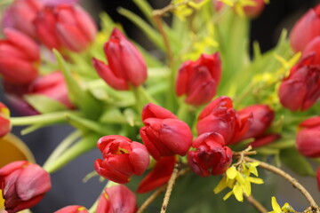A bouquet of fresh red tulips arranged in a decorative vase.