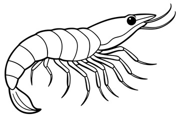 shrimp line art silhouette vector illustration