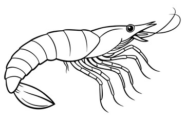 Fototapeta premium shrimp line art silhouette vector illustration