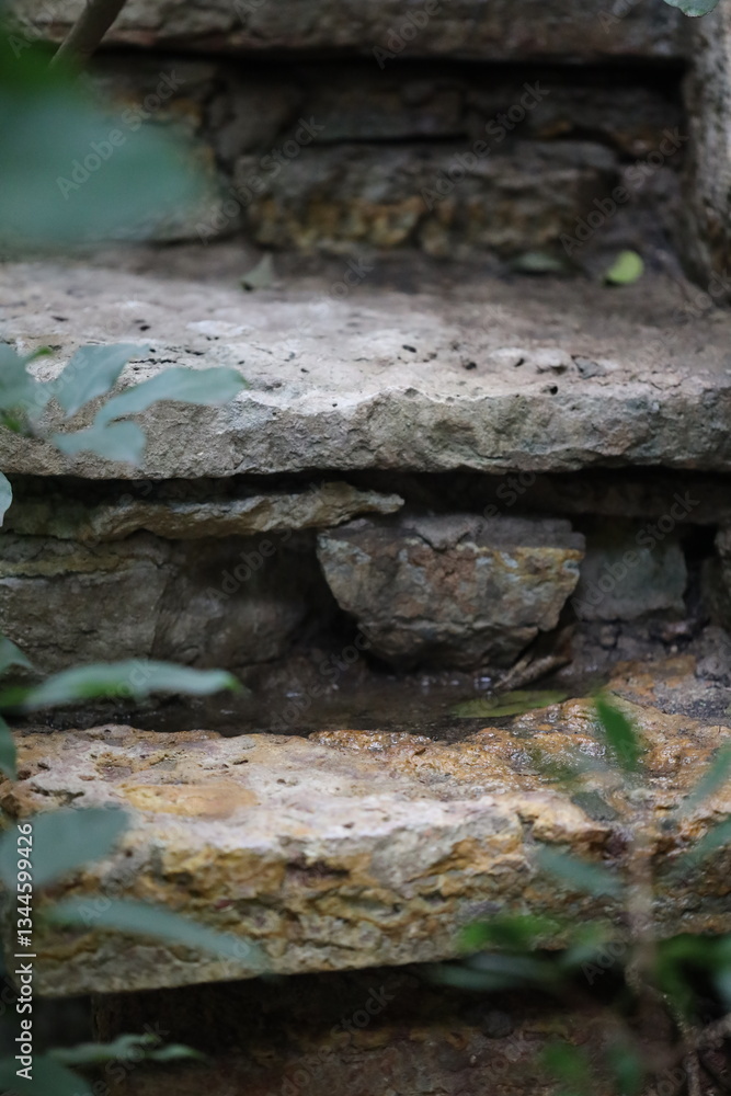 Poster close-up shot of a stone wall covered in lush green leaves, ideal for use in nature-inspired designs