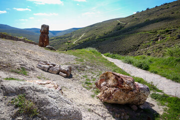 A fossilized tree trunk from the UNESCO Geopark 